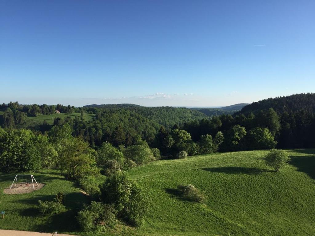 Ferienwohnung Weitblick 274 Hohegeiß Buitenkant foto