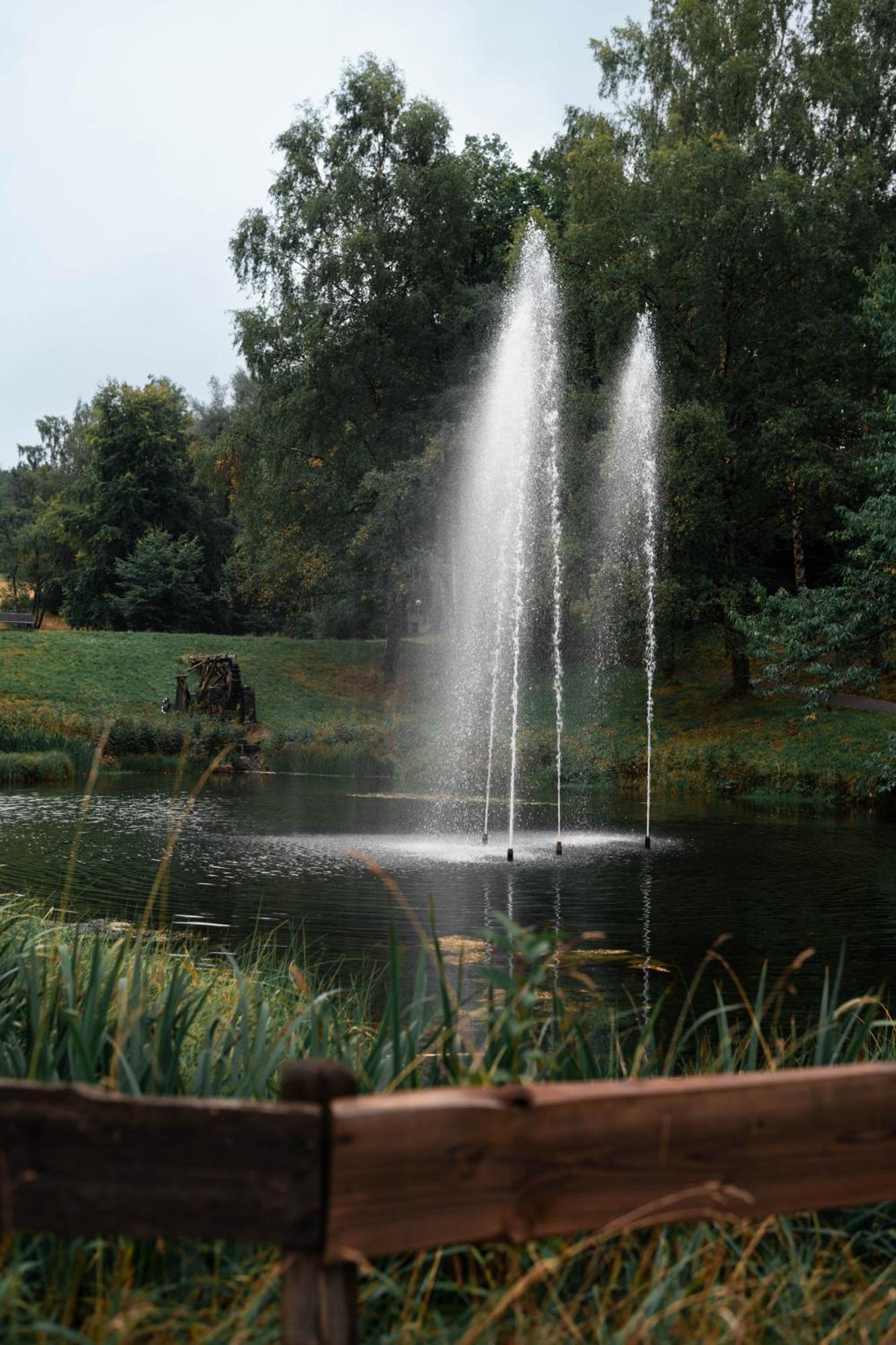 Ferienwohnung Weitblick 274 Hohegeiß Buitenkant foto
